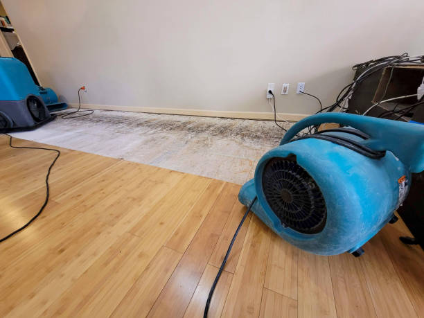Professional Structural Drying technician working in Bruceton Mills, WV
